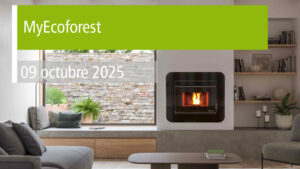 ea_formacion_ES_25_10_09_Myecoforest