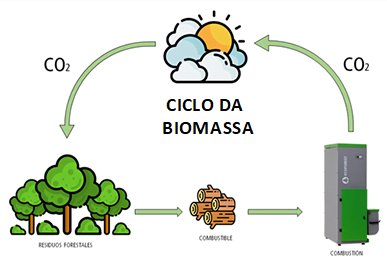 ciclo-biomasa