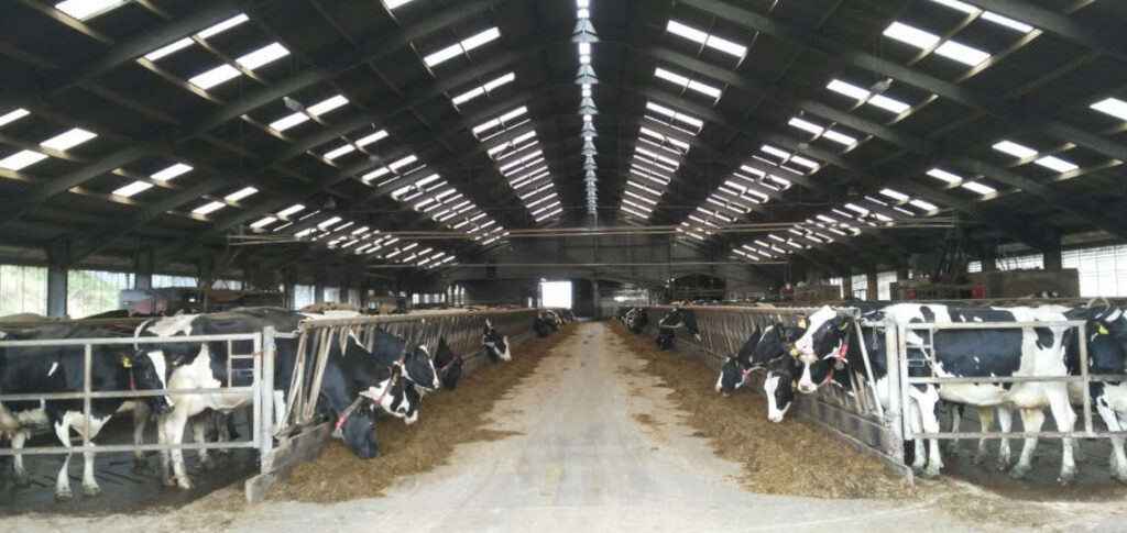 Scotland: Dairy farm
