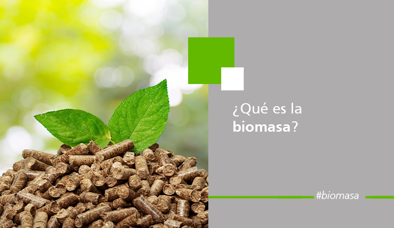 ¿Qué es la biomasa? biomasa, leña, pellets