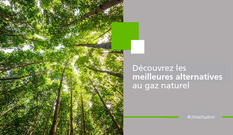 Découvrez les meilleures alternatives au gaz naturel. Ecoforest.