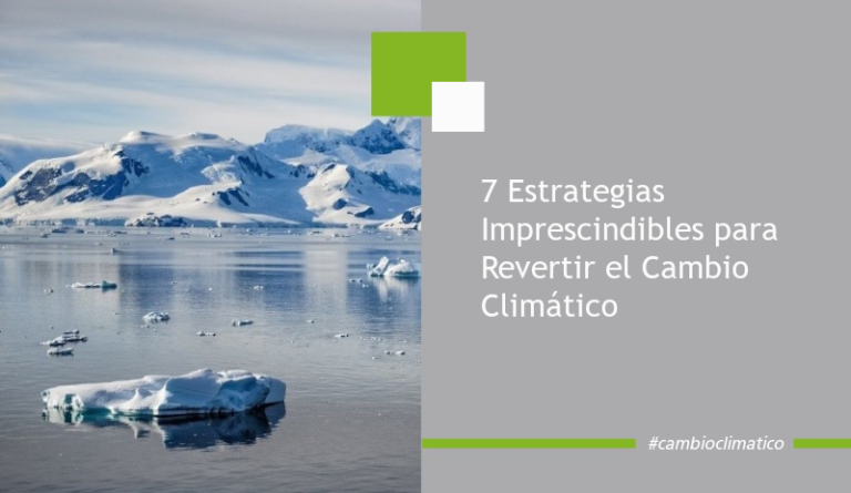 7 Estrategias Imprescindibles Para Revertir El Cambio Climatico