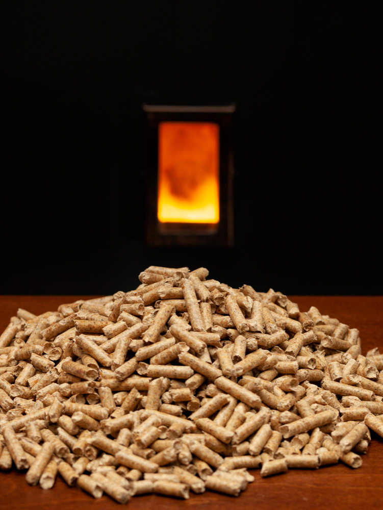 Types of pellet stoves and their differences geotermia