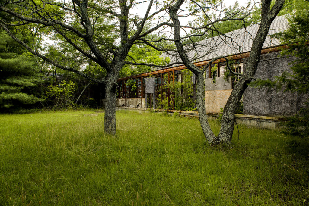 calculadora ecoforest (1)